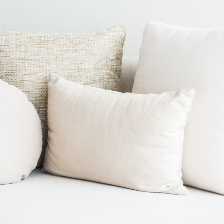 freepik__adjust__73516.png